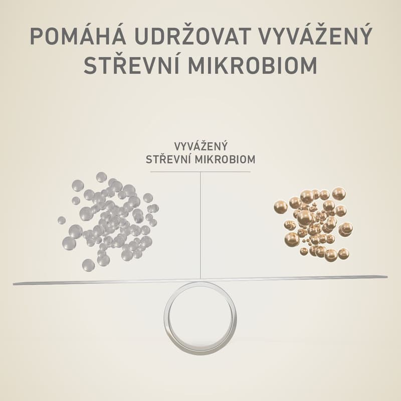 Purina ONE Mini Adult granule pro psy hovězí