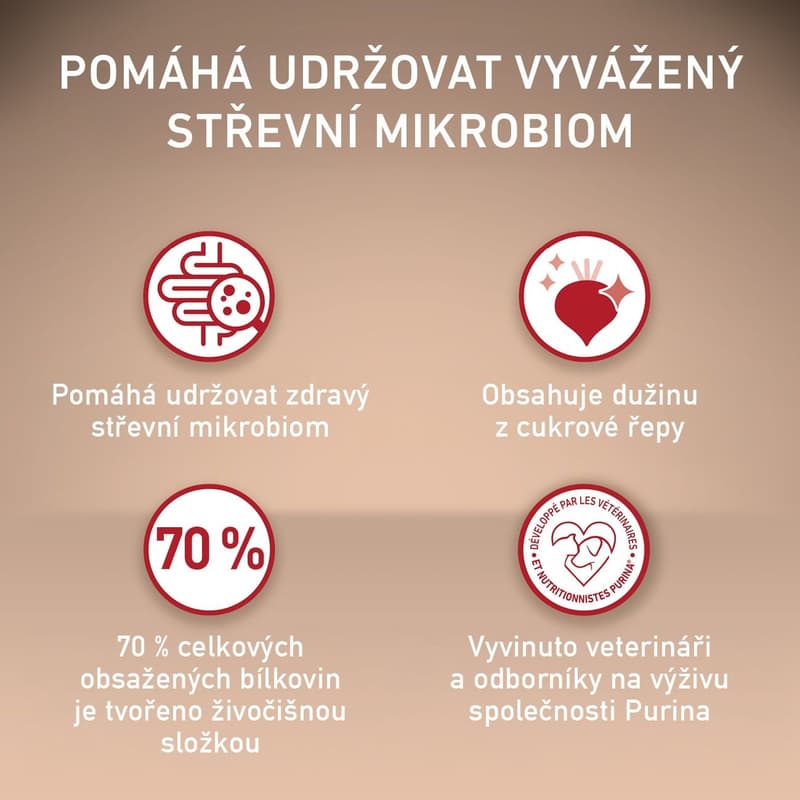 Purina ONE Mini Adult granule pro psy hovězí