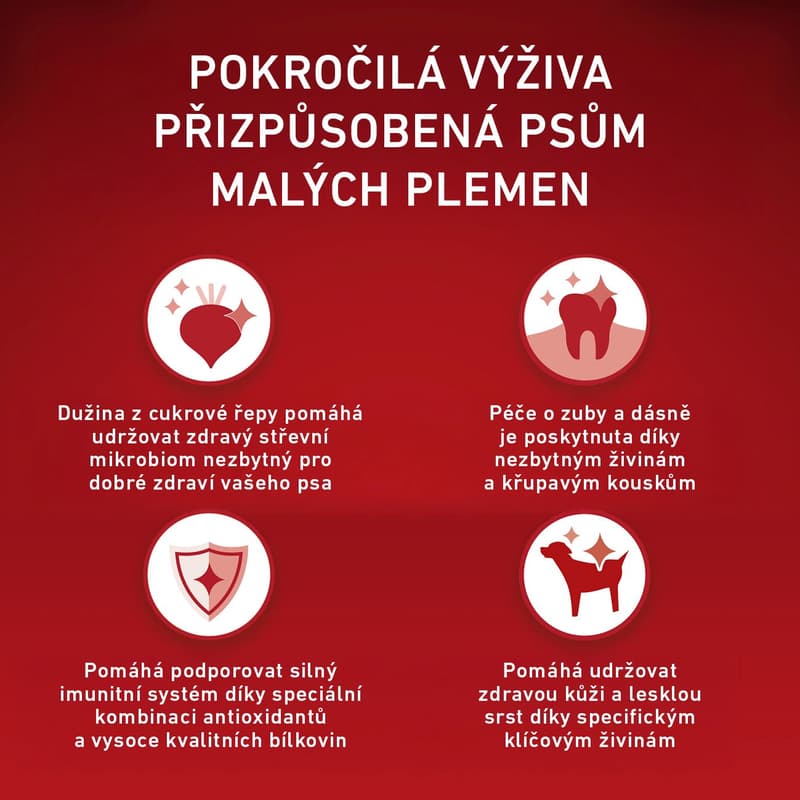 Purina ONE Mini Adult granule pro psy hovězí