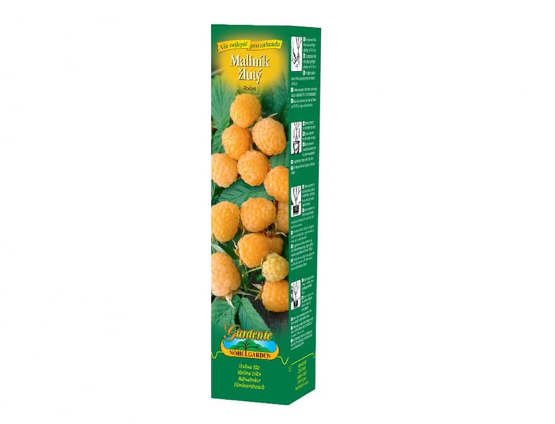 Raspberry yellow, 2 pcs