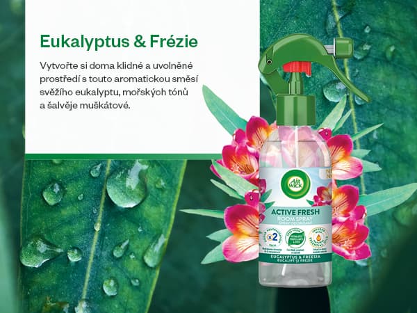 Air Wick Active Fresh spray air freshener - eucalyptus