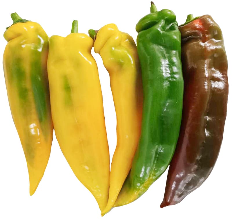 Spicy bell pepper wild mix of colors (from Palermo), packaging