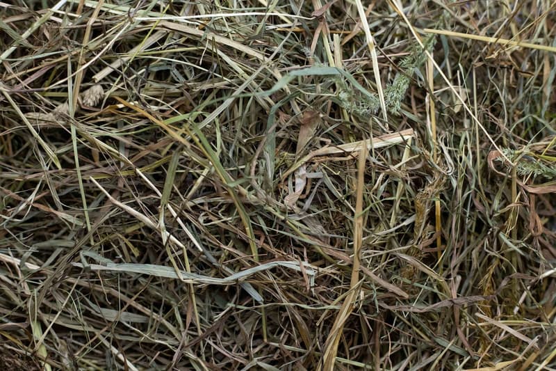 Dáme seno meadow hay