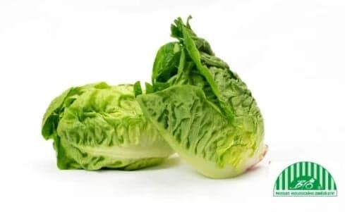 BIO Salad Little gem, packaging