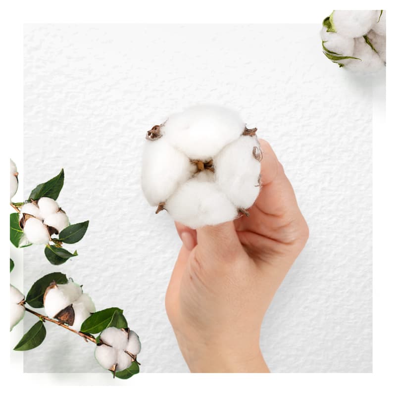 Always Cotton Protection Ultra Long Hygienické vložky s křidélky
