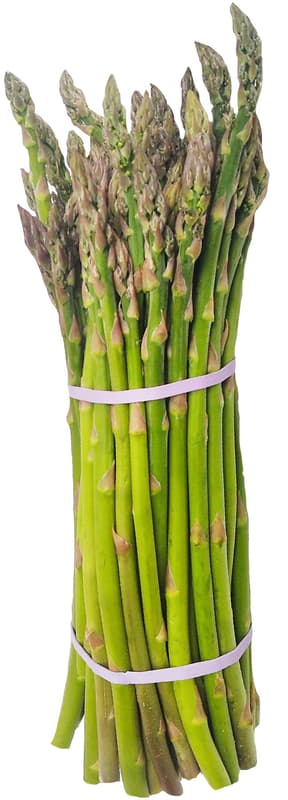 Thin green asparagus for grilling (Czech asparagus), bundle