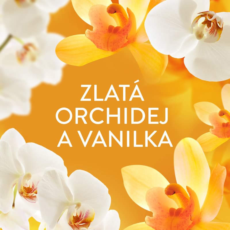 Lenor Orchid & Vanilla fabric softener (0,987 l)