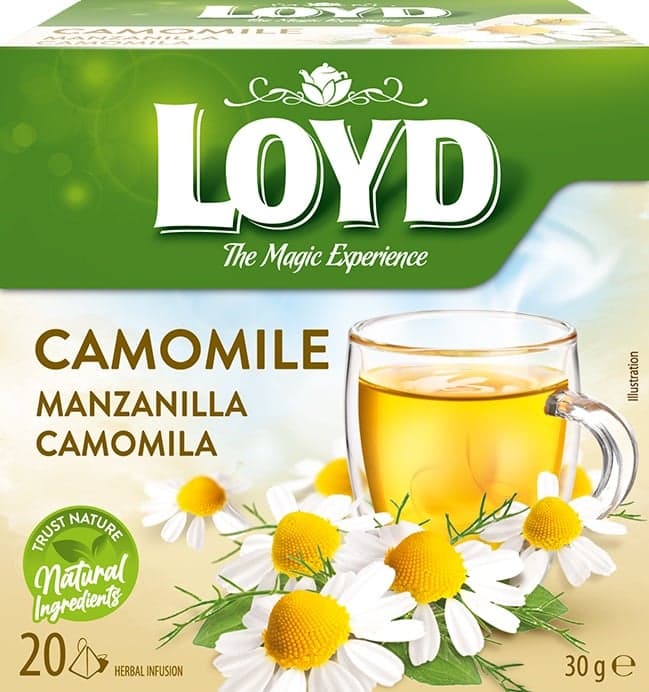 Loyd pyramid Camomile