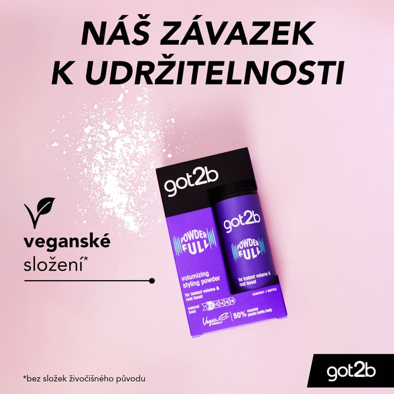got2b POWDER´ful volumizing styling powder 10 g