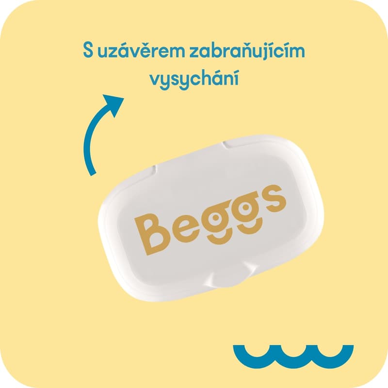 Beggs flushable wet wipes (64 pcs)