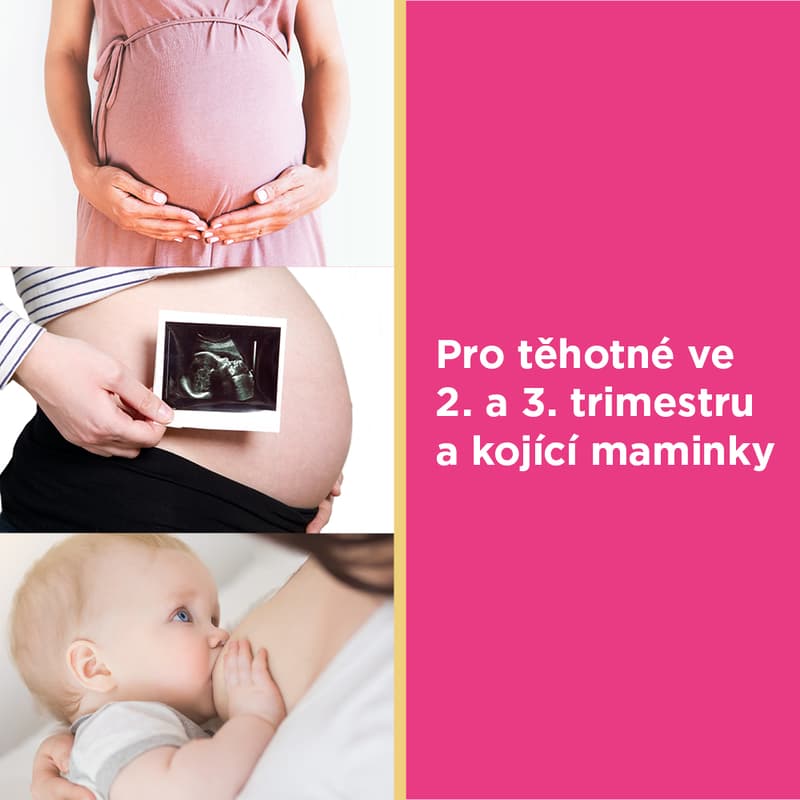 GS Mamavit 2 Těhotenství a kojení tbl.30/cps.30