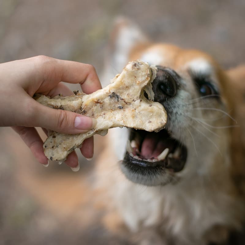Akinu Natural bone with tripes