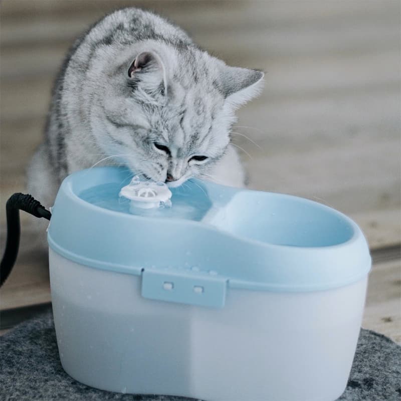 Fountain H2O for cats and small dogs 220V
