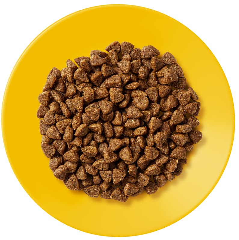 Applaws Kitten kuřecí granule pro koťata