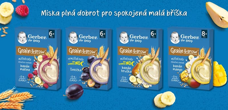 GERBER Non-dairy porridge wheat-oat plum