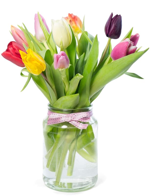 Tulipány mix barev