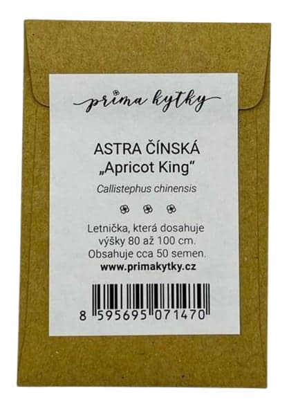 Prima kytky Astra čínská „Apricot King"