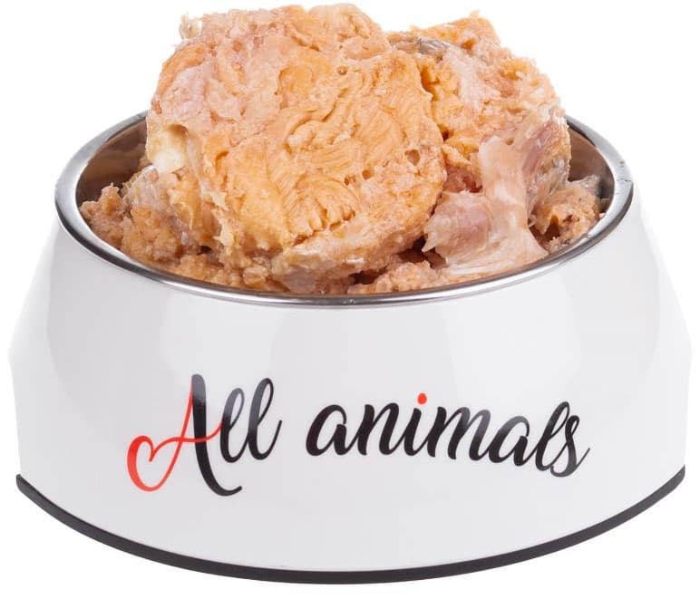 All Animals Kočkopes losos kousky