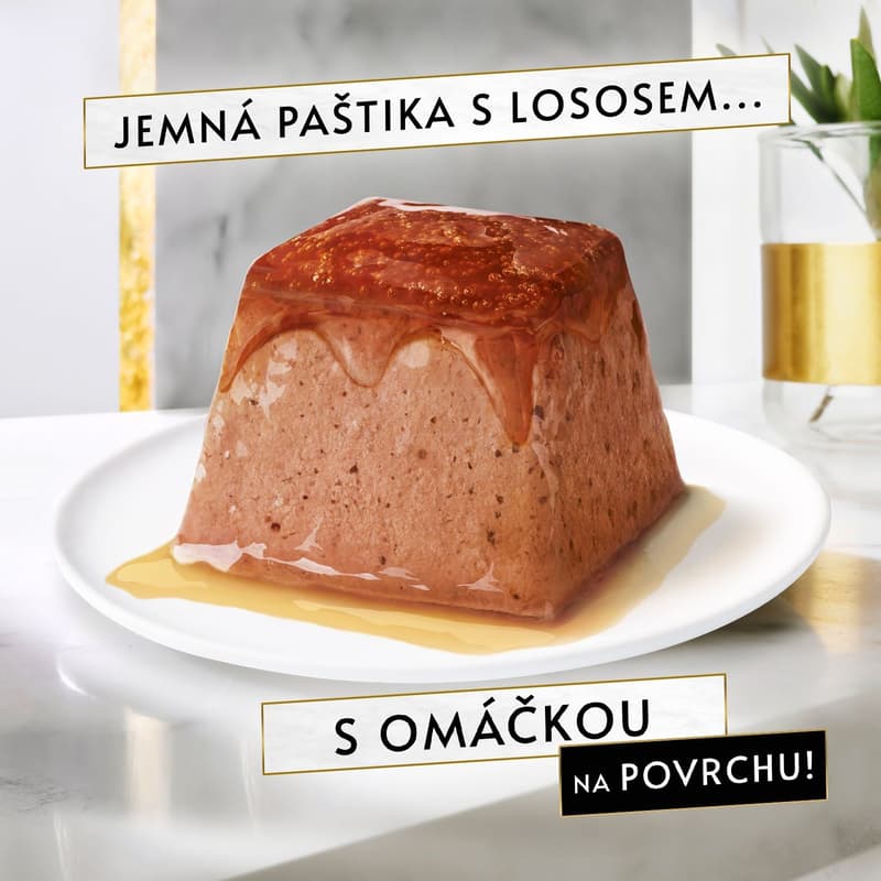 Gourmet Revelations pro kočky losos paštika v omáčce 2×57 g
