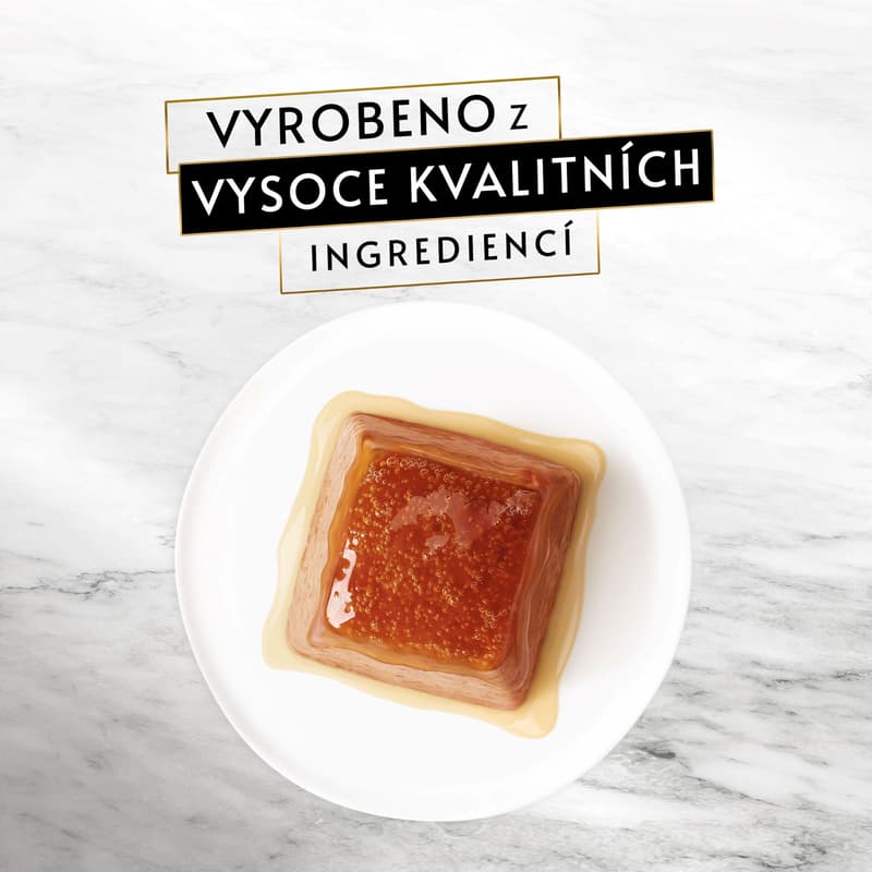 Gourmet Revelations pro kočky losos paštika v omáčce 2×57 g