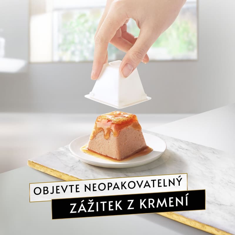 Gourmet Revelations pro kočky losos paštika v omáčce 2×57 g