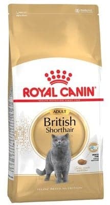Royal Canin British Shorthair kibble for cats