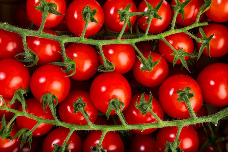 Rohlík.cz – Cherry tomatoes on a twig Rozálka, packaging