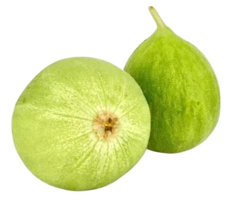 Okurkový meloun Barattiere