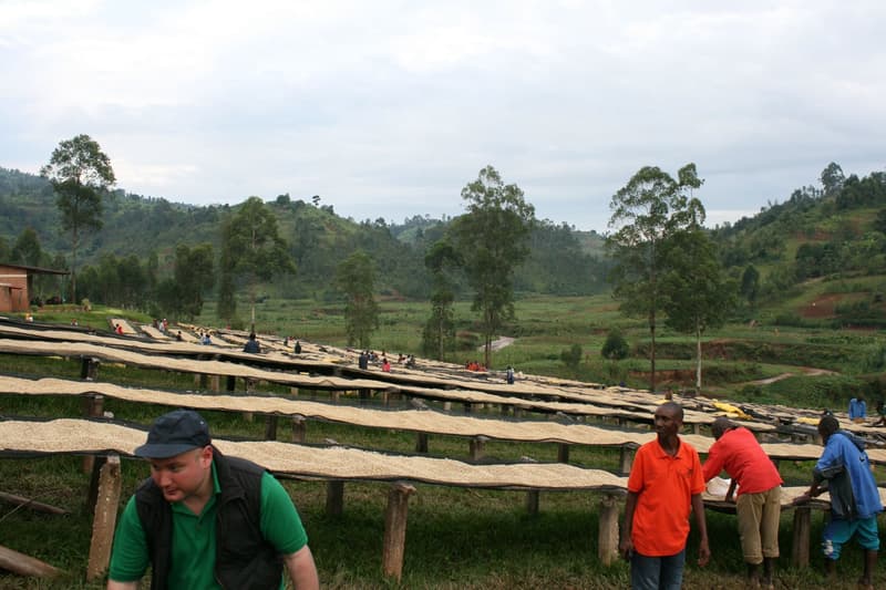 The Miners Coffee Brasil Monteiro Lobato coffee beans