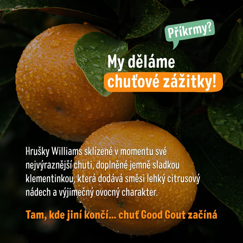 Good Gout BIO Kapsička hruška s klementinkou
