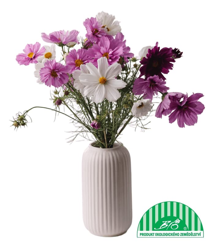 Vitenplant BIO kytice krásenek