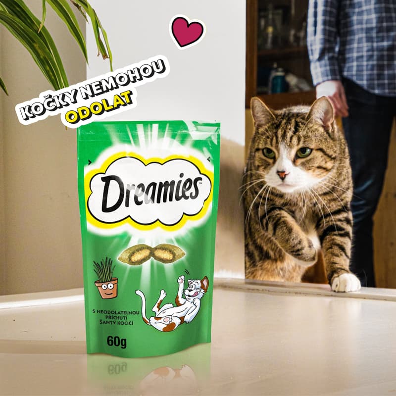Dreamies Shanty flavored cat treats