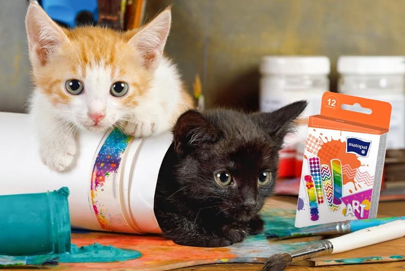 Matopat Náplast Art