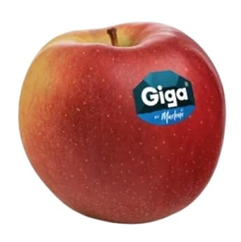 Big apple, Giga