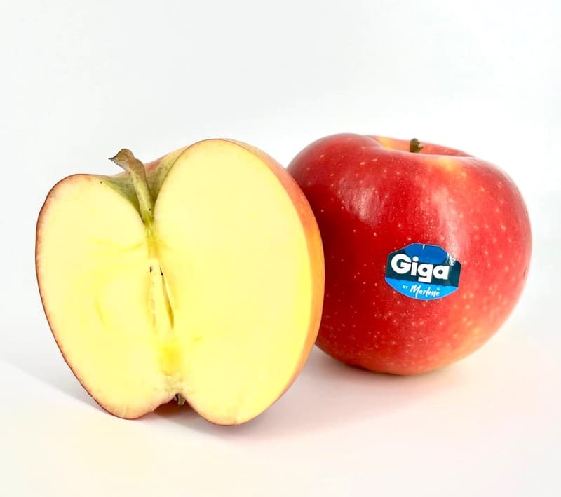 Big apple, Giga