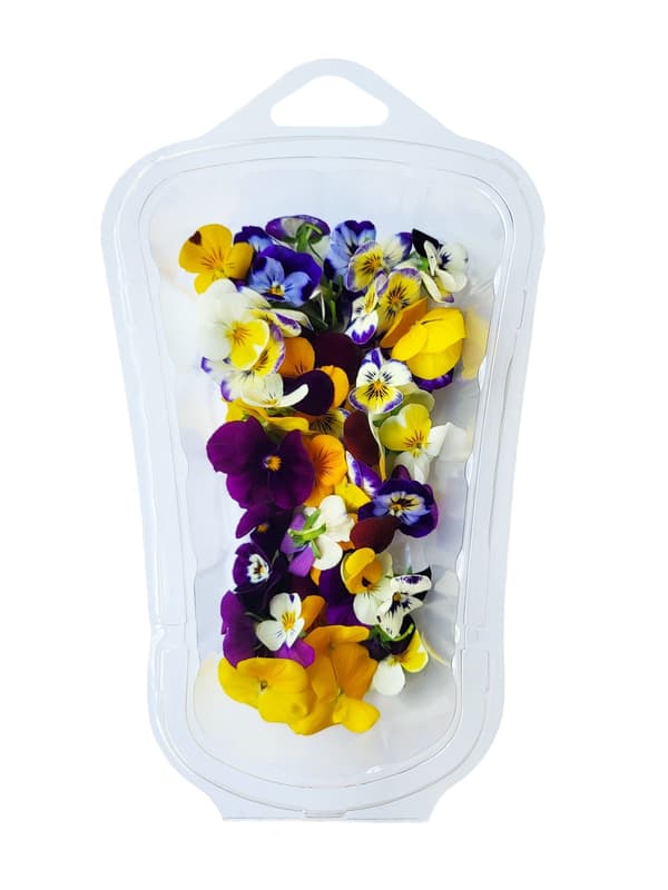 Edible violet flowers (Czech production)