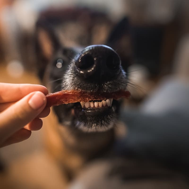 Akinu Bites & Fun kachní prsíčka pamlsek pro psy