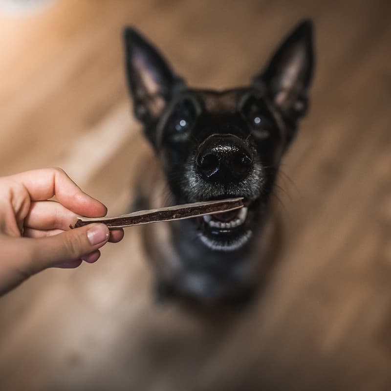 Akinu Bites&Fun Lamb sandwich treats for dogs