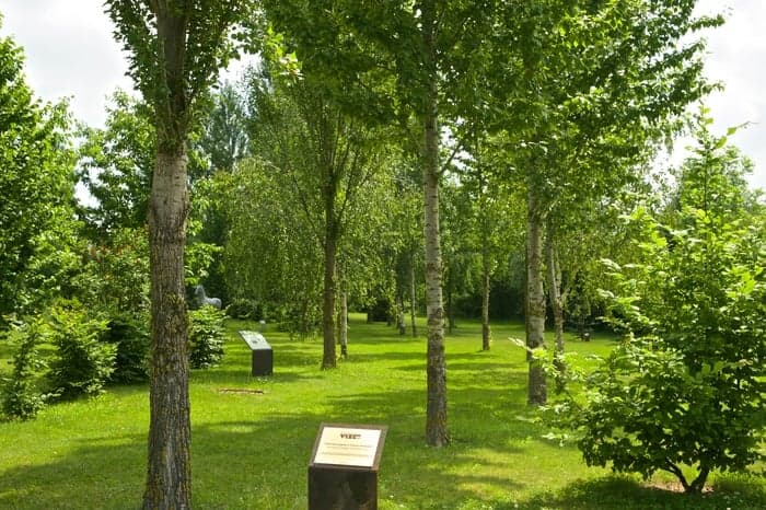Dárková rodinná vstupenka do Centra řemesel a bylinných zahrad Botanicus