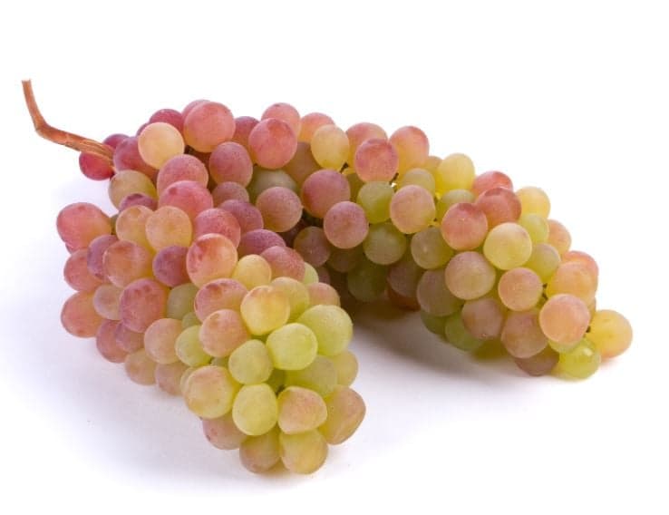 Kunratická stodola – Hrozny růžové bezpeckové volně (odr. Candy), střapec