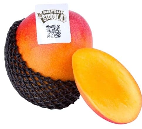 Kunratická stodola – Ripe mangoes imported by air