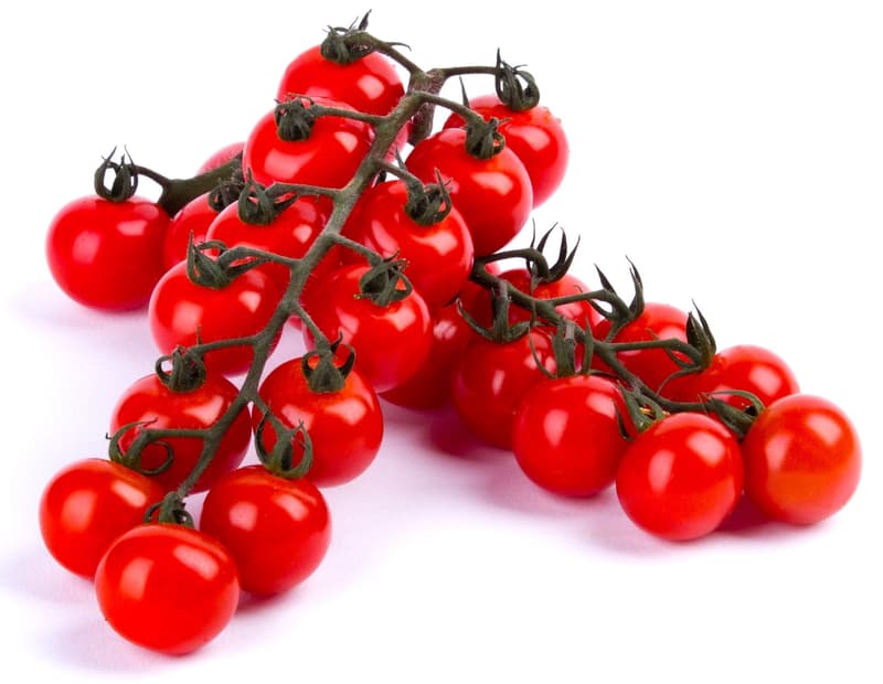 Kunratická stodola - Cherry tomatoes on a twig (varietal Miss Perfect), bunch