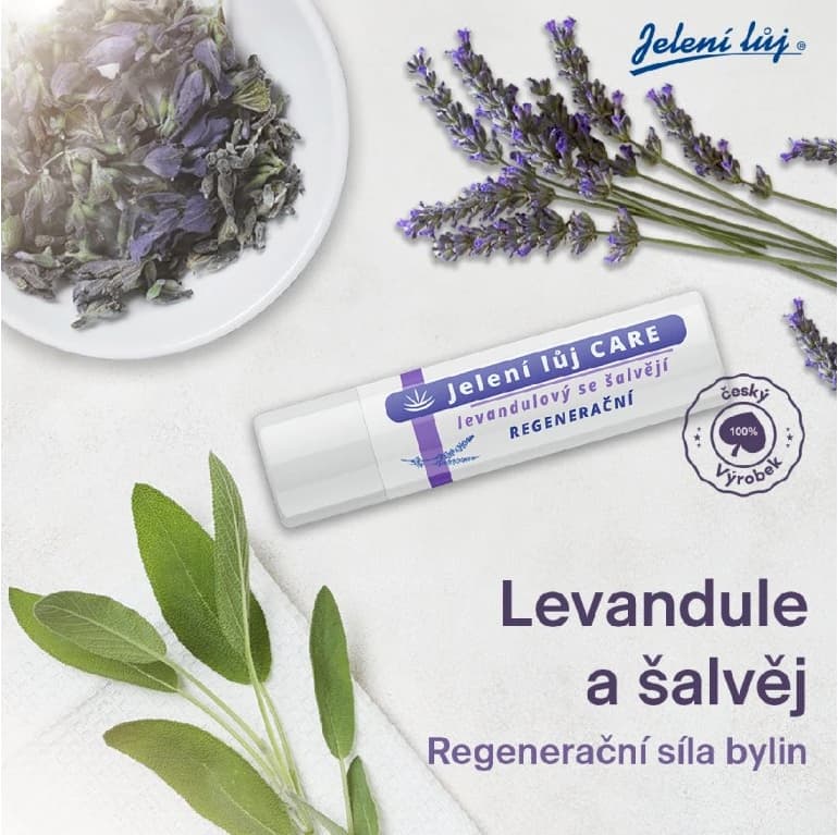 Deer tallow CARE lavender with sage regeneration