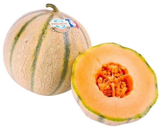 Kunratická stodola – Philibon Sugar Melon