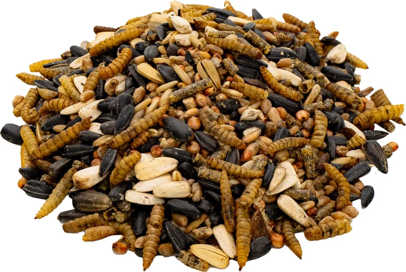 Underground Food Bird Mixture with Insects