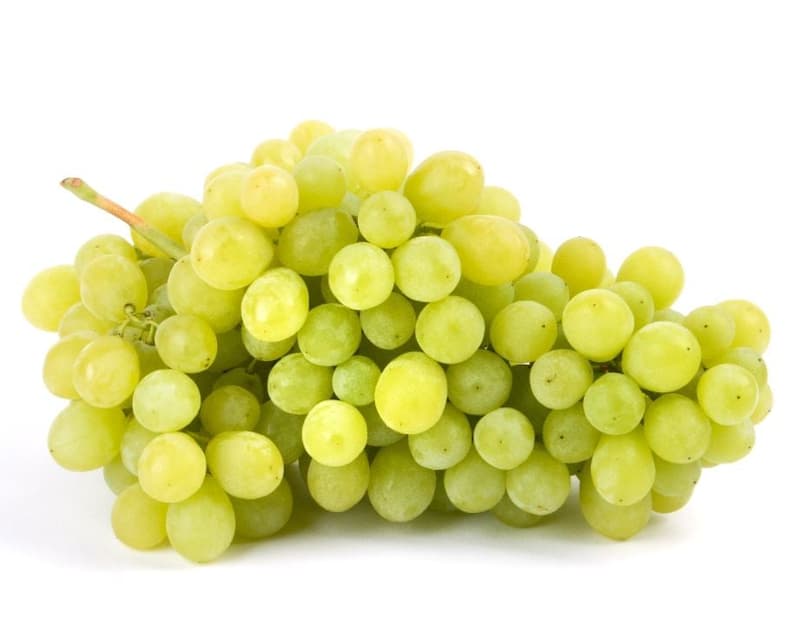 Kunratická stoloda – Free white grapes, tassel (Autumn crisp)