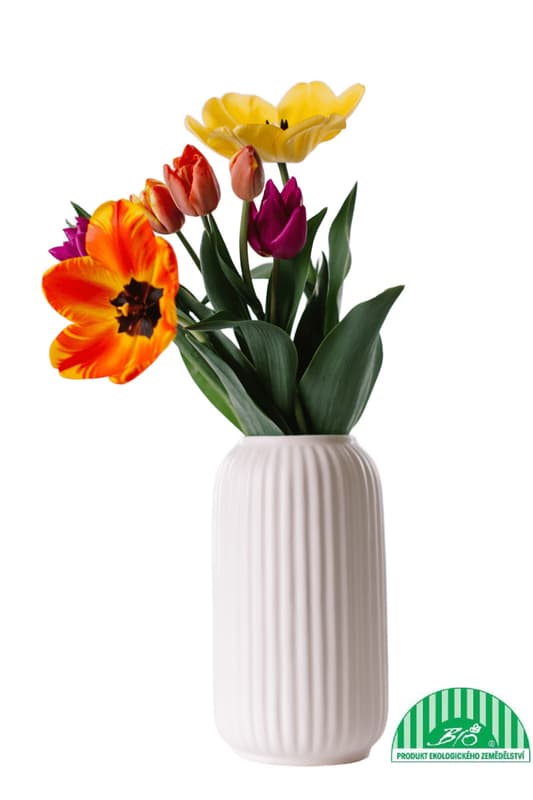 Vitenplant BIO Kytice tulipánů "Spring Lover"