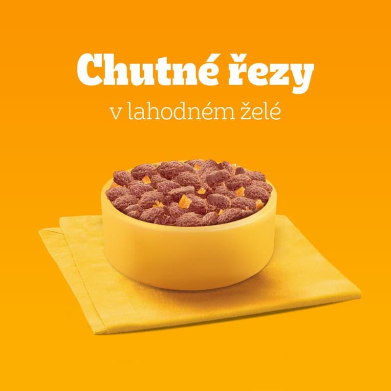 Pedigree Senior kapsičky v želé smíšený výběr pro psy 12×100 g