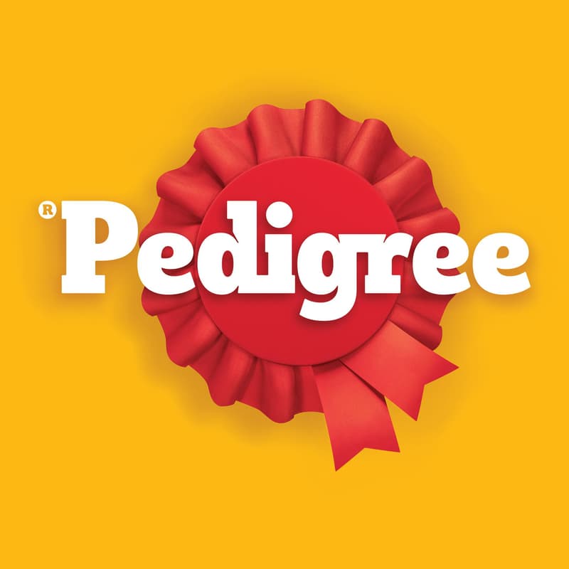 Pedigree Senior kapsičky v želé smíšený výběr pro psy 12×100 g