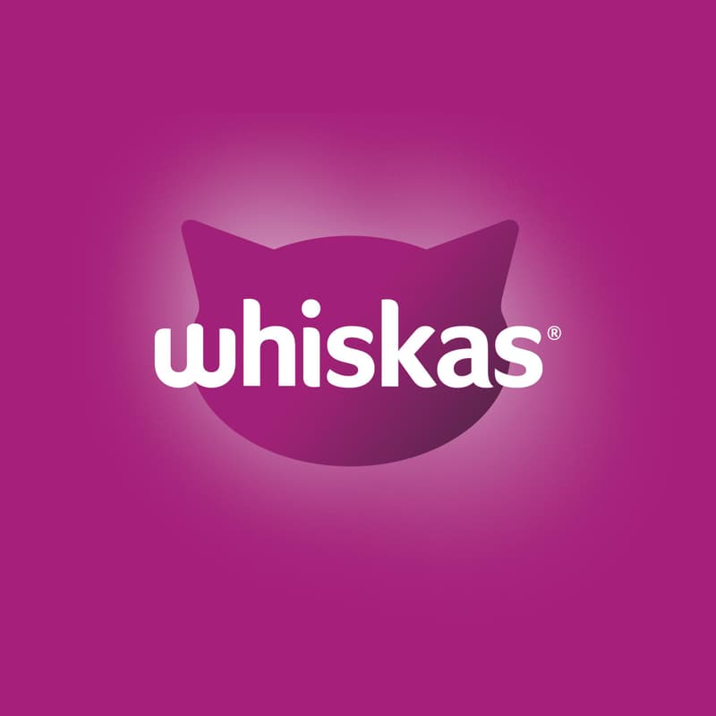 Whiskas Tasty mix Country kapsičky ve šťávě pro dospělé kočky 24×85 g